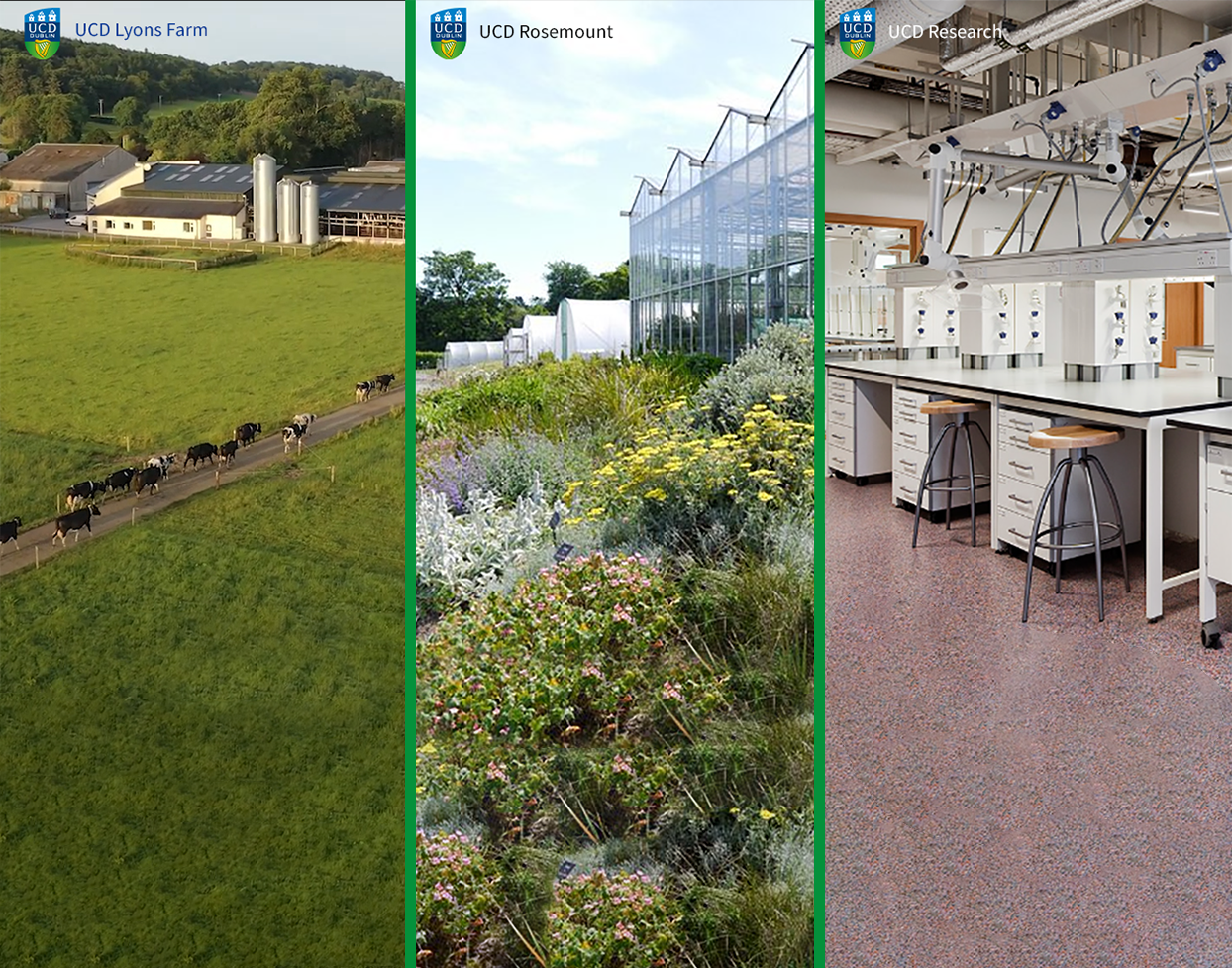 AgTechUCD Agccelerator Programme Benefits